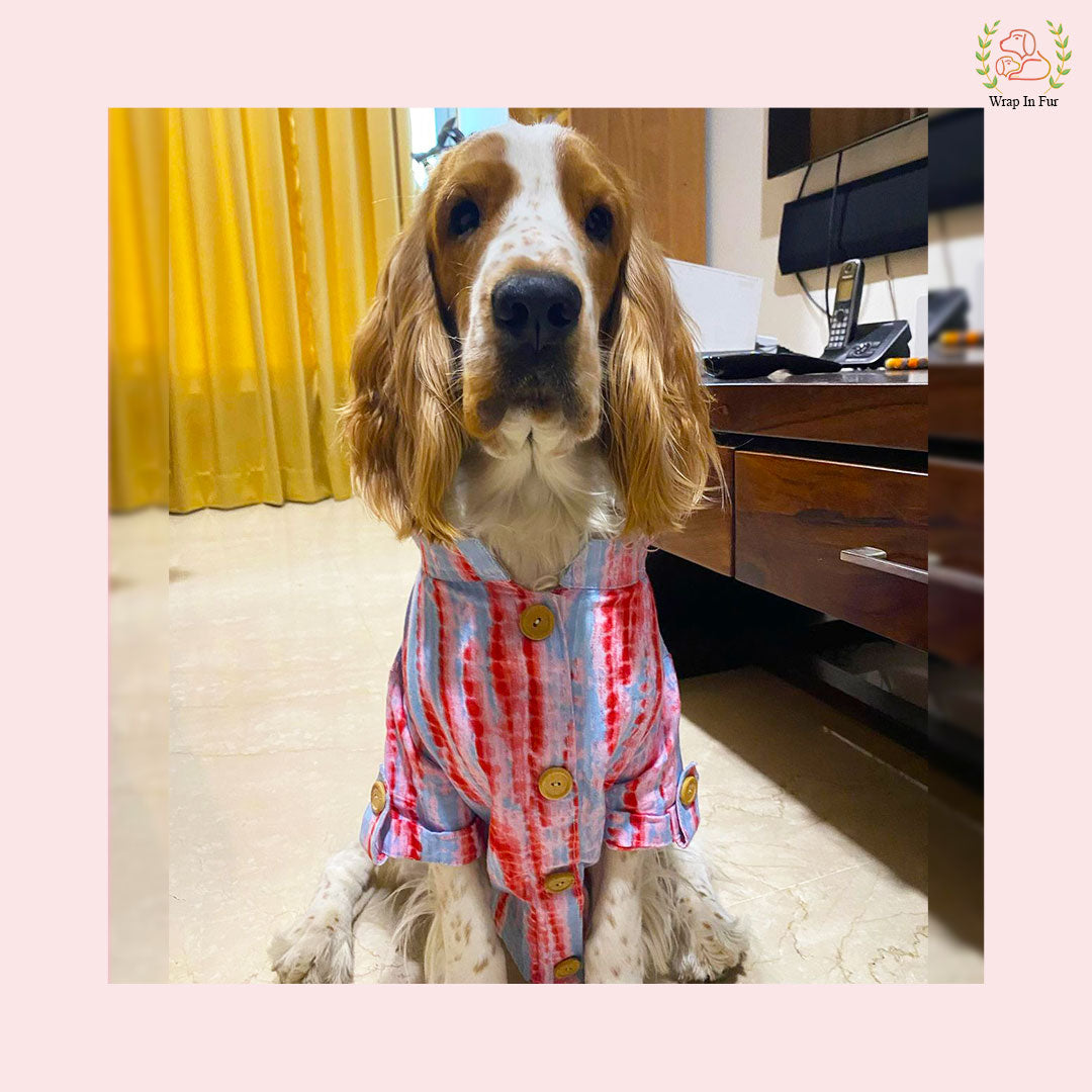 Pink Grey Kurta for dogs