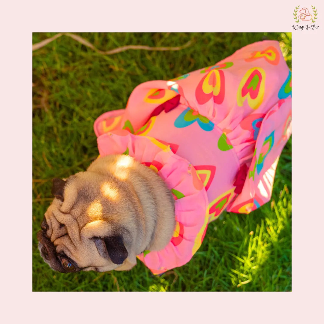 pink neon dog frock for small dog