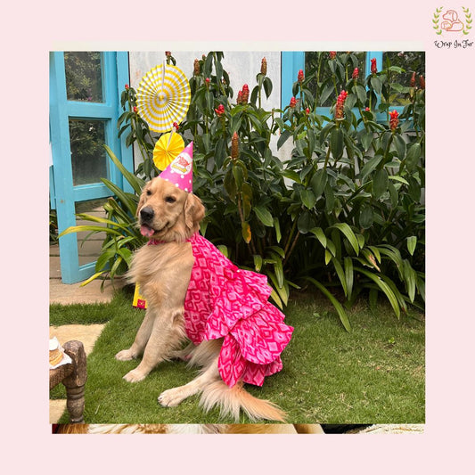 Birthday pink paradise dog frock