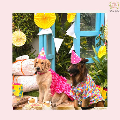 online birthday dress for dogs in India