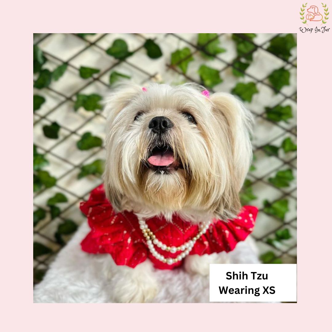 Pink Bridal Lehenga Choli Dog Dress – Wedding Outfit for Dogs