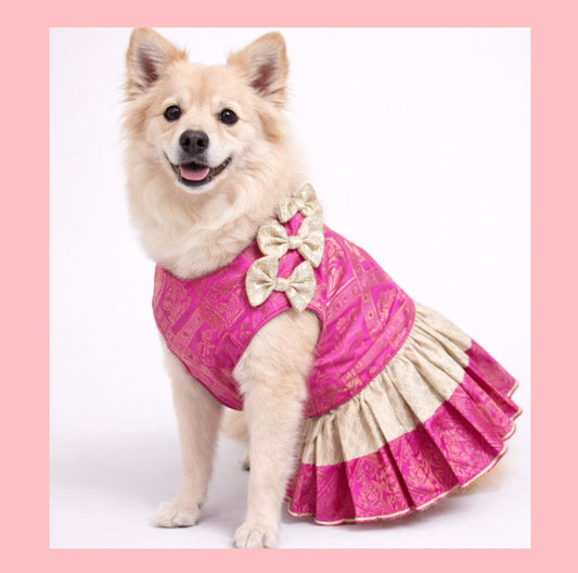 Pink Cream Dog Lehenga Choli – Designer Dog Wedding Dress