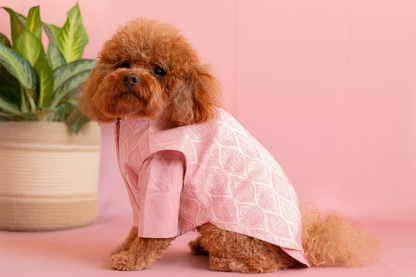 Pink Dog Kurta Set - Royal Indian Dog Ethnic Wear Jacket Dress