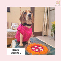 Beagle Pink Dog Sherwani for Wedding