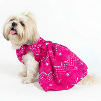 Pink Dog Wedding Lehenga – Bridal Dog Outfit for Special Occasions