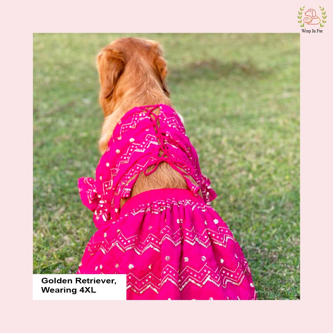 Pink Dog Wedding Lehenga – Bridal Dog Outfit for Special Occasions