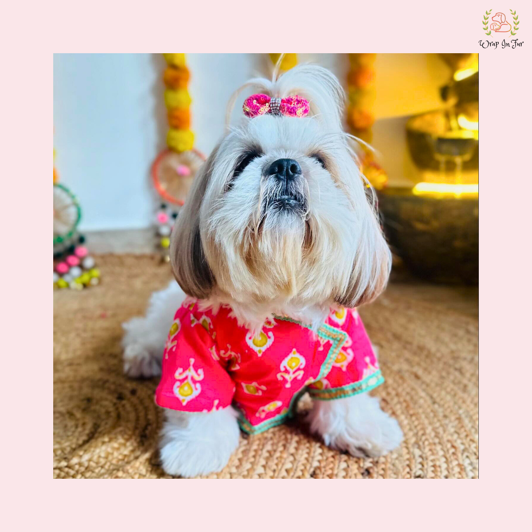 Pink Flamingo Dog Angarkha Kurta - Traditional Indian Dog Ethnic Wear