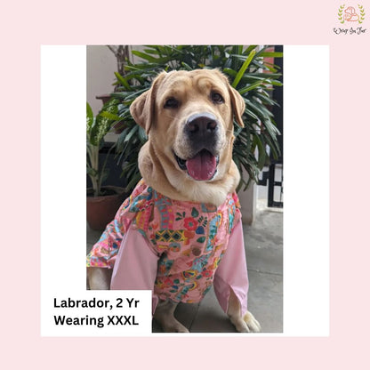 Pink Floral Jacket Dog Kurta Set - Vibrant Indian Dog Ethnic Wear