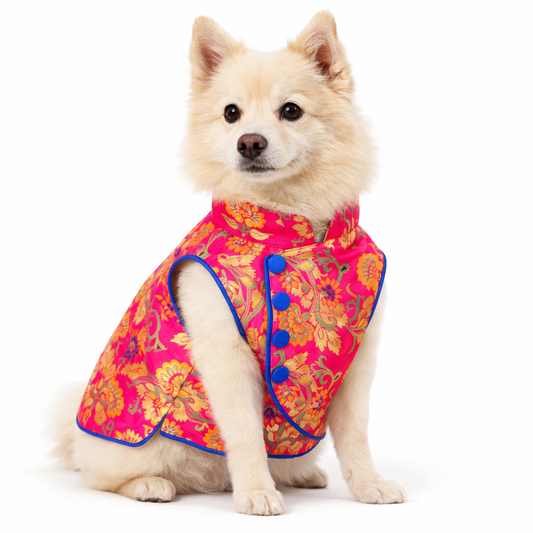 Pink Flower Jacket Dog Sherwani
