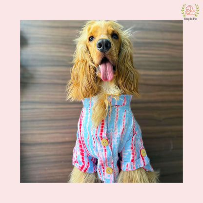 Pink & Grey Mirror Work Dog Kurta Set - Indian Dog Ethnic Wear