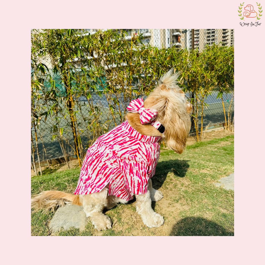Pink Holi Dog Kurta - Modern Tie Dye Indian Dog Ethnic Wear Dress