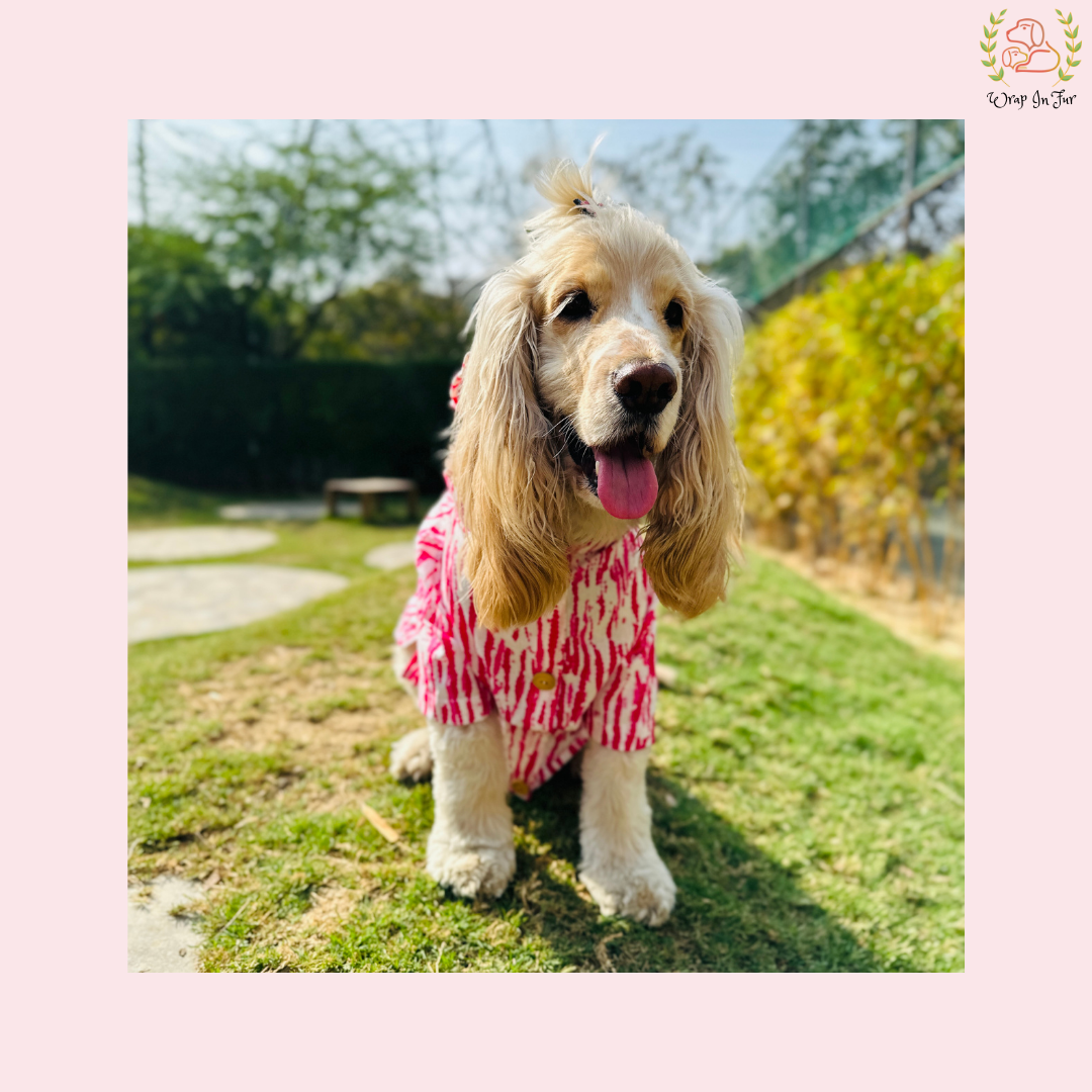 Pink Holi Dog Kurta - Modern Tie Dye Indian Dog Ethnic Wear Dress