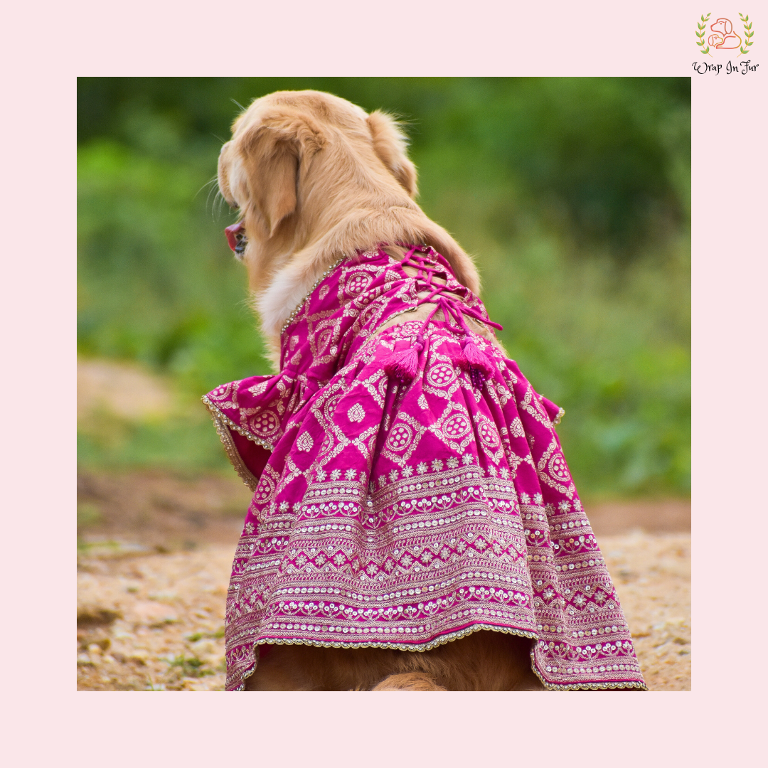 Pink Mastani Bridal Dog Lehenga – Premium Dog Wedding Dress