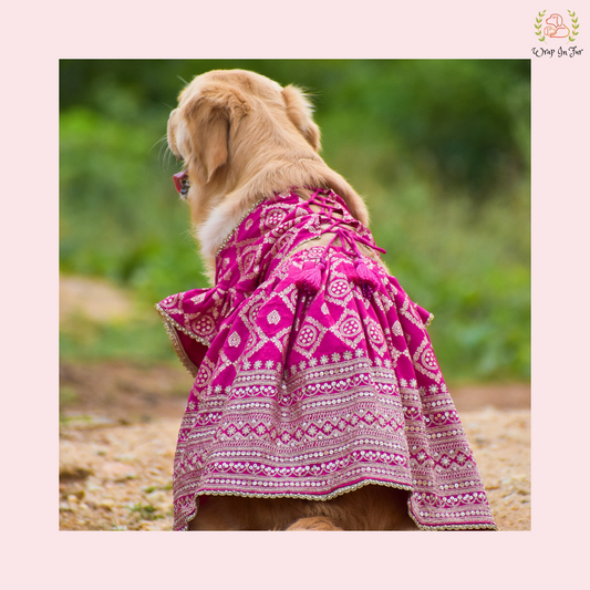 Pink Mastani Bridal Dog Lehenga – Premium Dog Wedding Dress