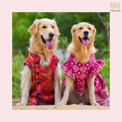 Pink Mastani Bridal Dog Lehenga – Premium Dog Wedding Dress