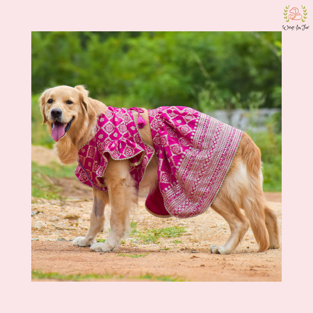Pink Mastani Bridal Dog Lehenga – Premium Dog Wedding Dress
