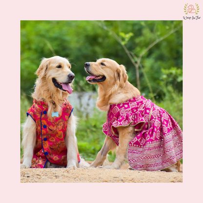 Pink Mastani Bridal Dog Lehenga – Premium Dog Wedding Dress