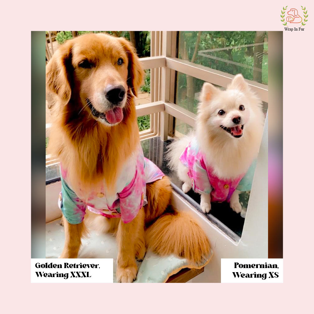 Pink Ombre Dog Kurta - Vibrant Tie-Dye Indian Dog Ethnic Wear