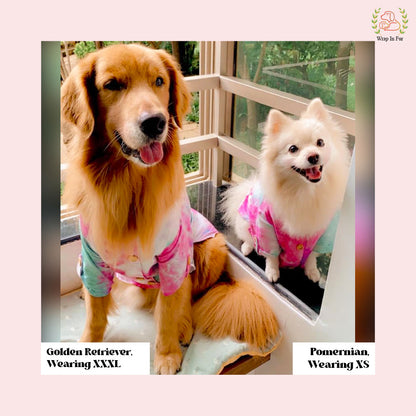 Pink Ombre Dog Kurta - Vibrant Tie-Dye Indian Dog Ethnic Wear