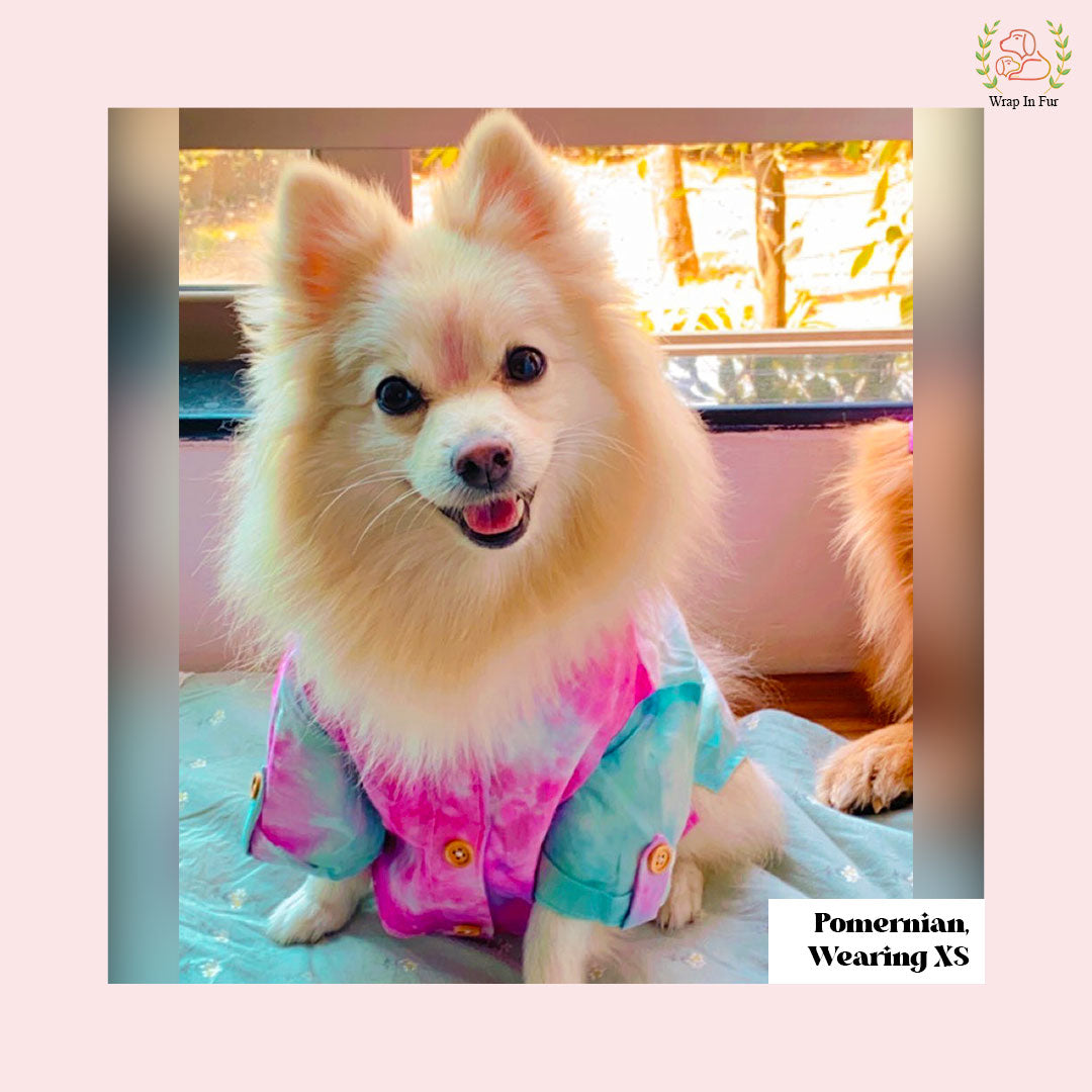 Pink Ombre Dog Kurta - Vibrant Tie-Dye Indian Dog Ethnic Wear