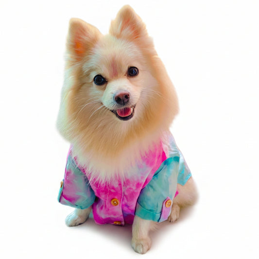 Dog Kurta