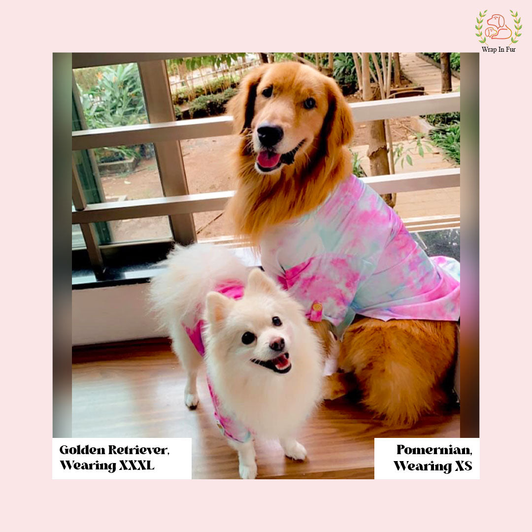 Pink Ombre Dog Kurta - Vibrant Tie-Dye Indian Dog Ethnic Wear