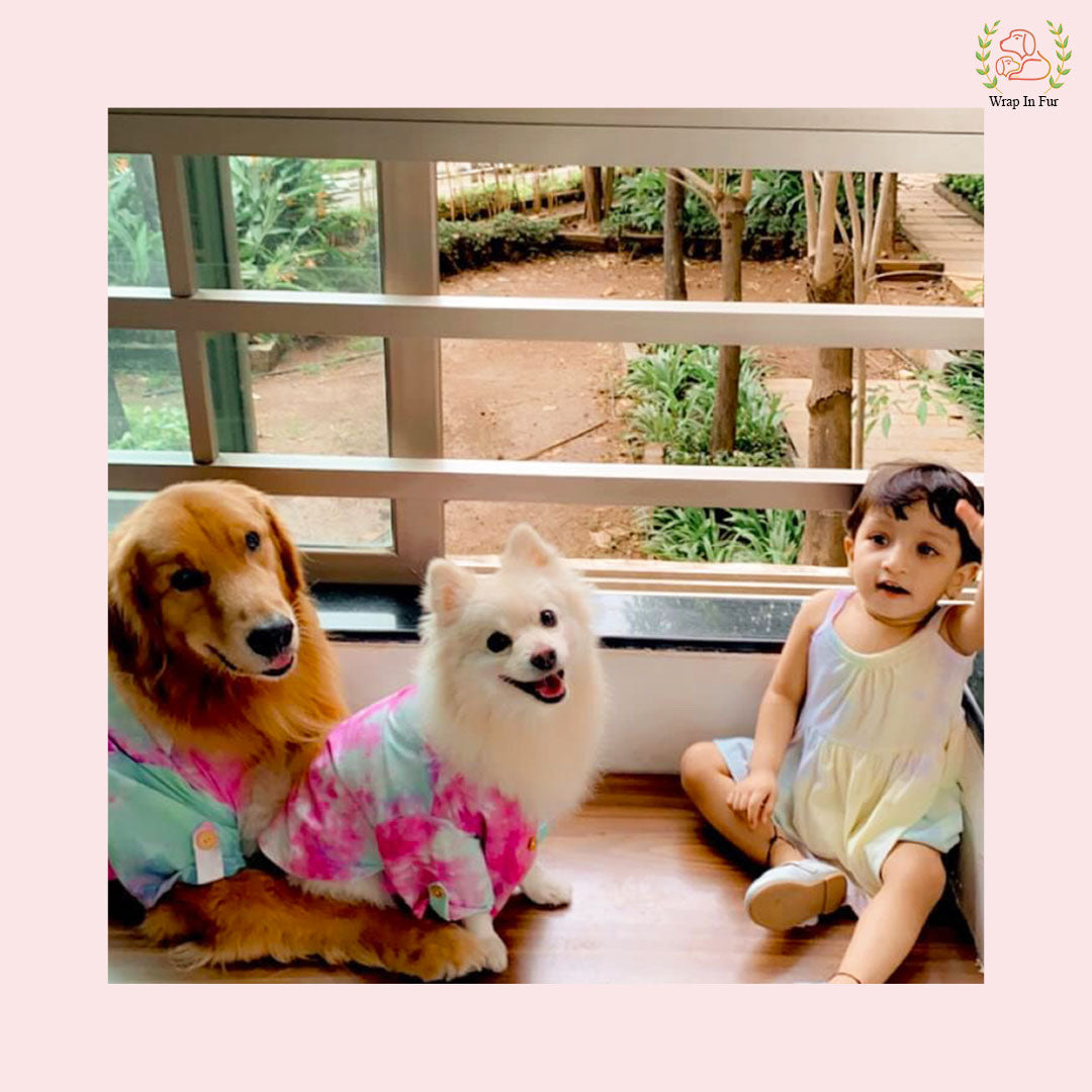 Pink Ombre Dog Kurta - Vibrant Tie-Dye Indian Dog Ethnic Wear