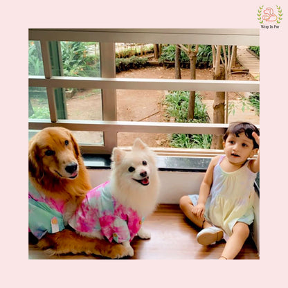 Pink Ombre Dog Kurta - Vibrant Tie-Dye Indian Dog Ethnic Wear