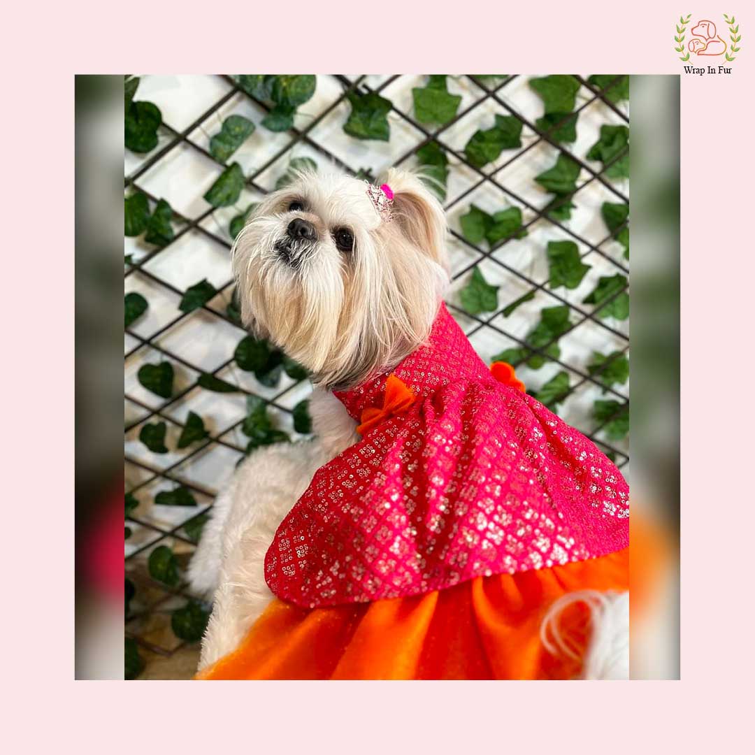Pink Orange Dog Wedding Dress – Premium Ethnic Frock for Dogs