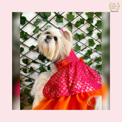 Pink Orange Dog Wedding Dress – Premium Ethnic Frock for Dogs