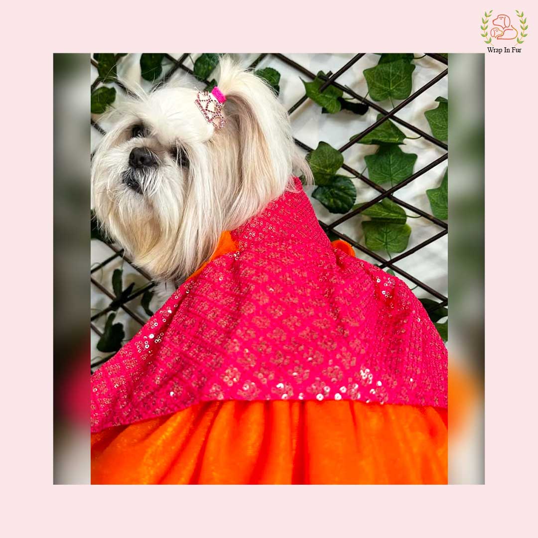 Pink Orange Dog Wedding Dress – Premium Ethnic Frock for Dogs
