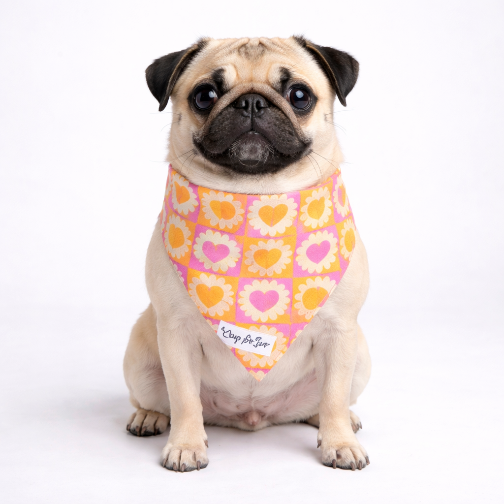 Pink Orange Heart Dog Bandana