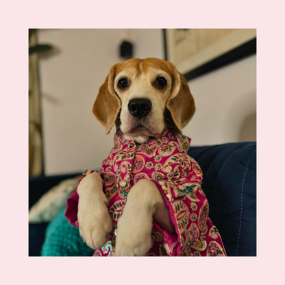 Pink Paisley Dog Kurta Shirt - Traditional Indian Dog Ethnic Wear