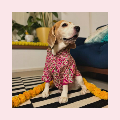 Pink Paisley Dog Kurta Shirt - Traditional Indian Dog Ethnic Wear