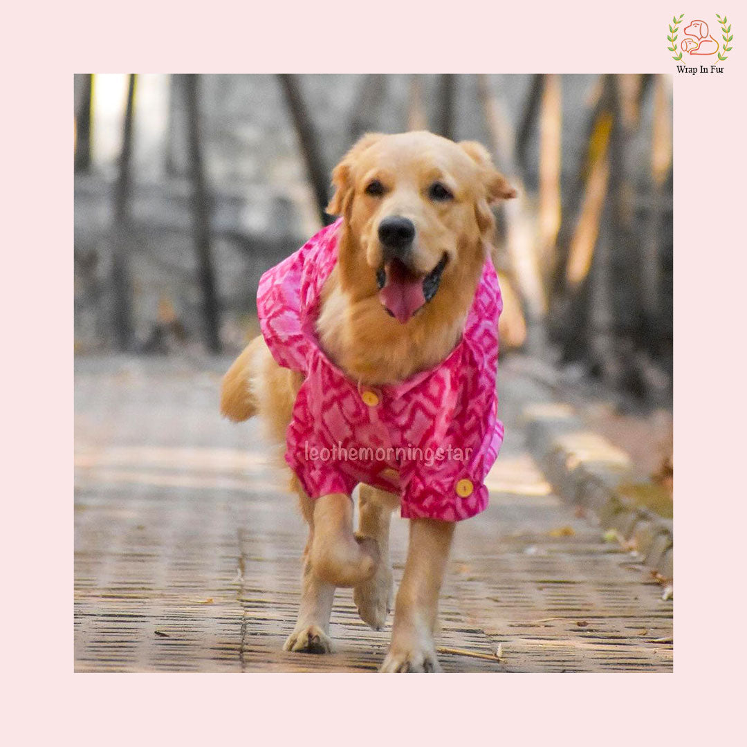 Pink Paradise Dog Kurta - Premium Ikat Indian Dog Ethnic Wear