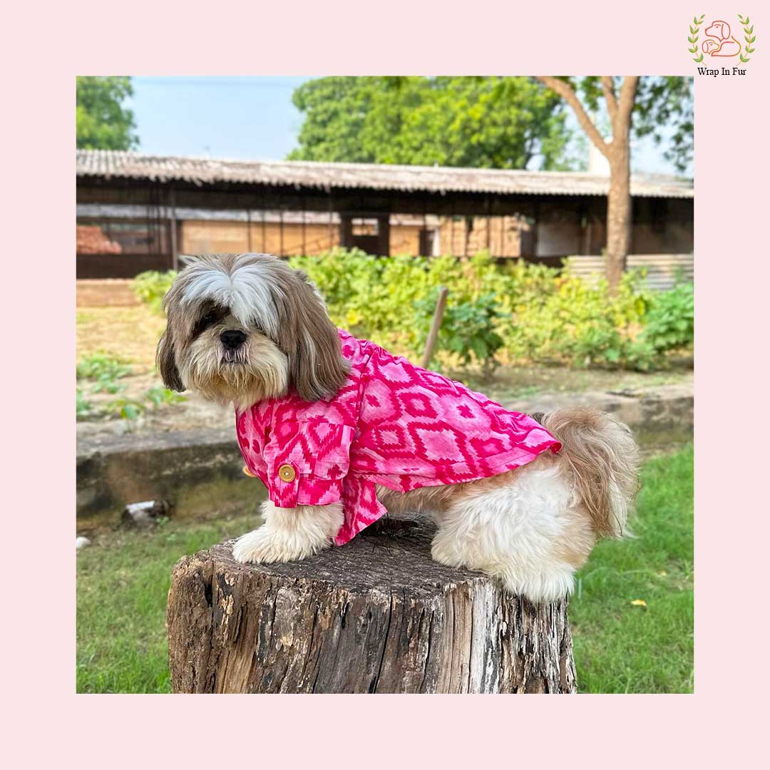 Pink Paradise Dog Kurta - Premium Ikat Indian Dog Ethnic Wear