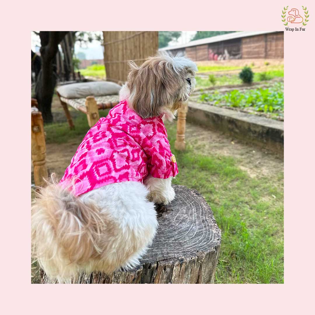 Pink Paradise Dog Kurta - Premium Ikat Indian Dog Ethnic Wear