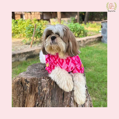 Pink Paradise Dog Kurta - Premium Ikat Indian Dog Ethnic Wear