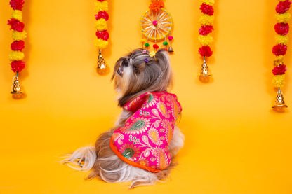 Pink Patakha Wedding Dog Sherwani – Premium Ethnic Wear for Weddings & Celebrations