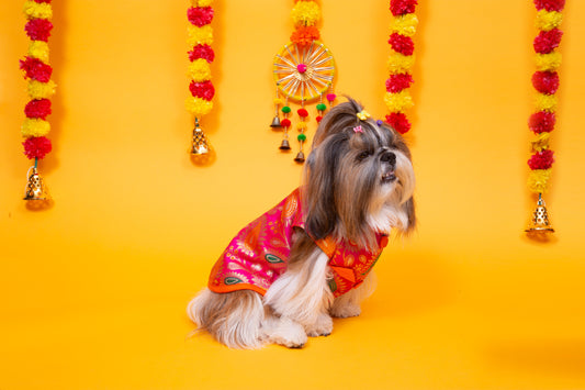 Pink Patakha Wedding Dog Sherwani – Premium Ethnic Wear for Weddings & Celebrations