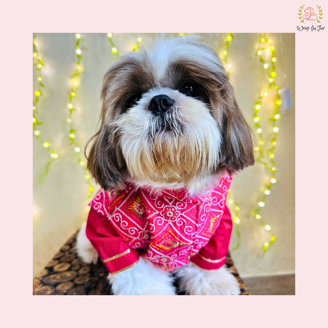 Pink Resham Gota Dog Kurta Jacket Set - Indian Dog Ethnic Wear Dress