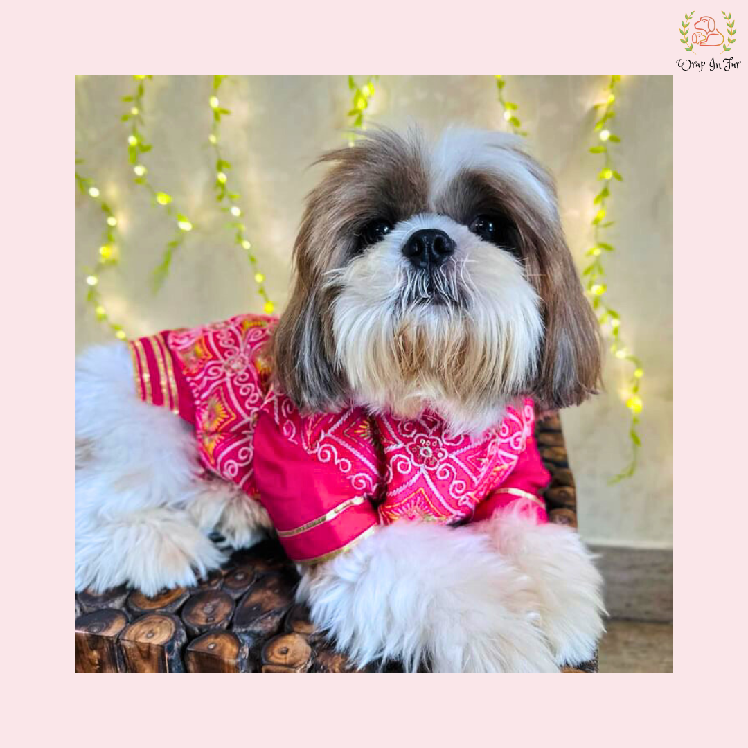 Pink Resham Gota Dog Kurta Jacket Set - Indian Dog Ethnic Wear Dress