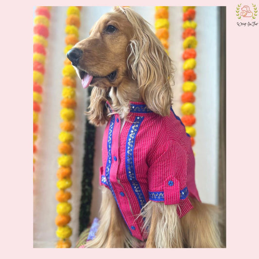 Pink & Royal Blue Bandhani Dog Kurta - Premium Indian Dog Ethnic Wear