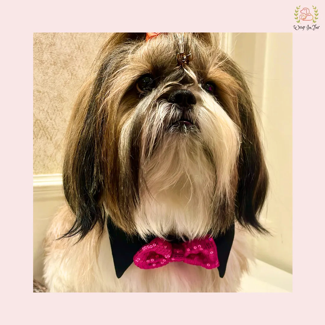 Pink Sequin Dog Bow Set - Sparkly Christmas Dog Accessory