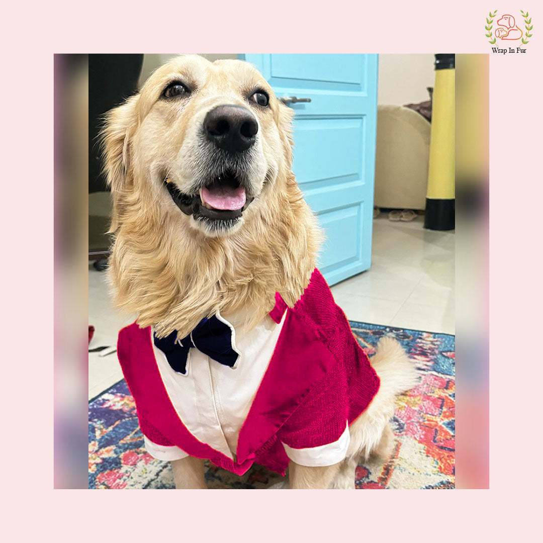 Pink Sequin Dog Tuxedo Suit - Fun Formal Wedding Attire