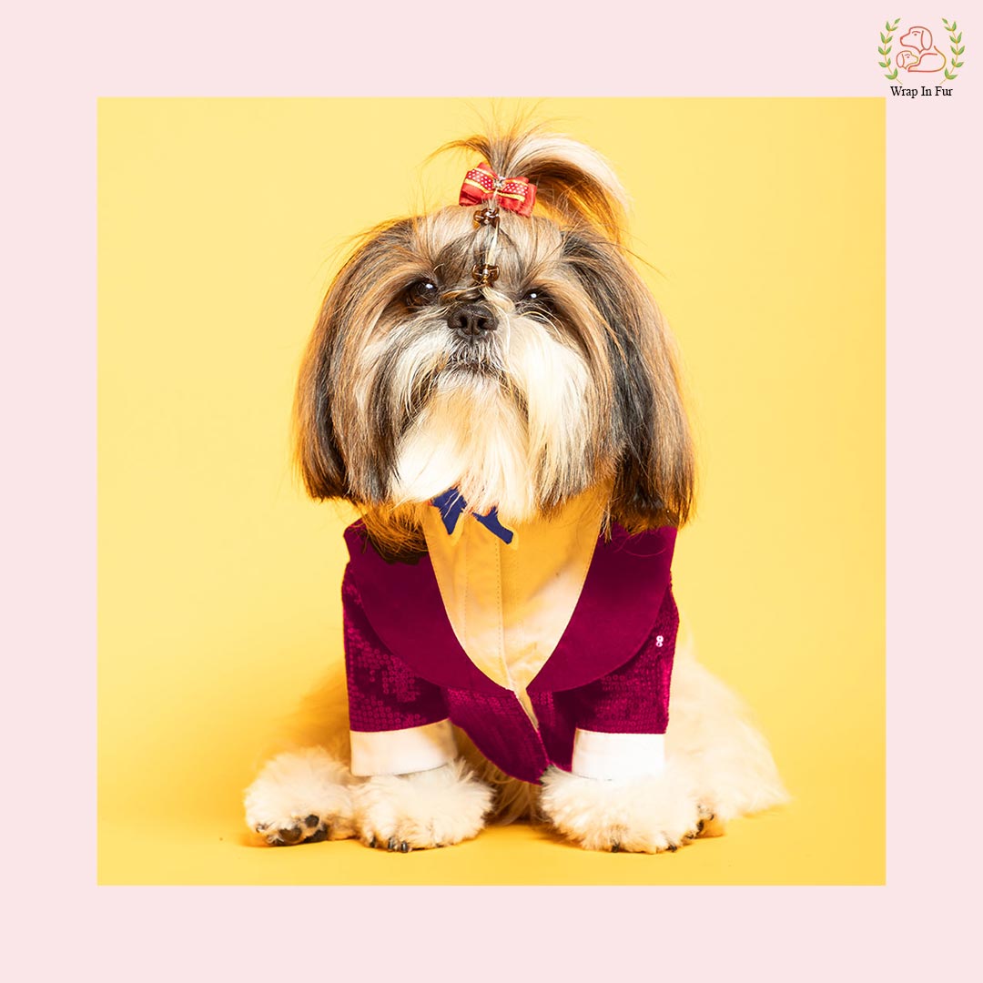 Pink Sequin Dog Tuxedo Suit - Fun Formal Wedding Attire