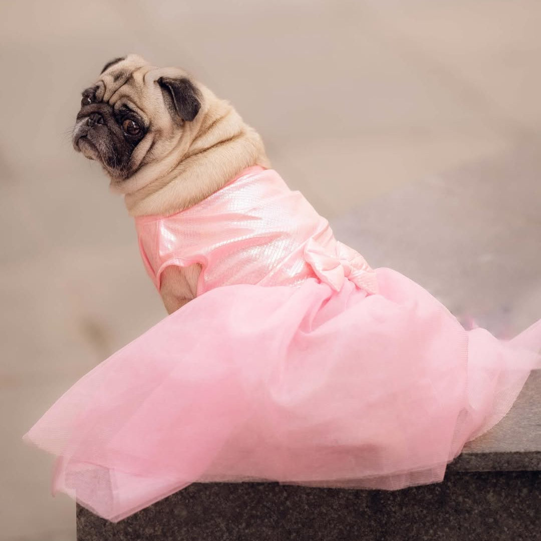 Pink Tutu Dog Frock & Parent Twinning Set