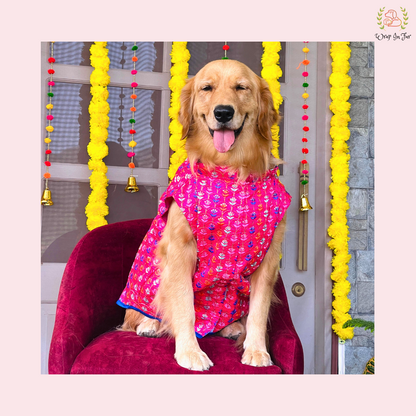 Pink Dog Sherwani