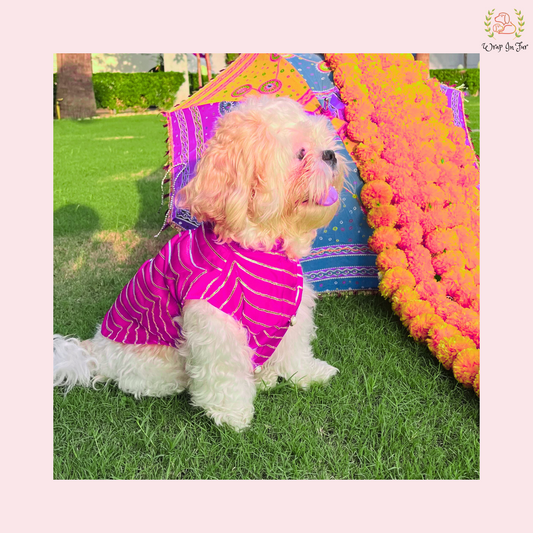 Pink Golden Sherwani