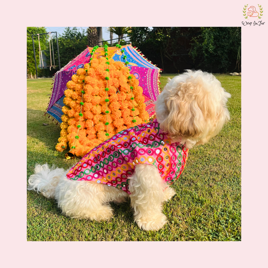 Pink Multicolor Jacket